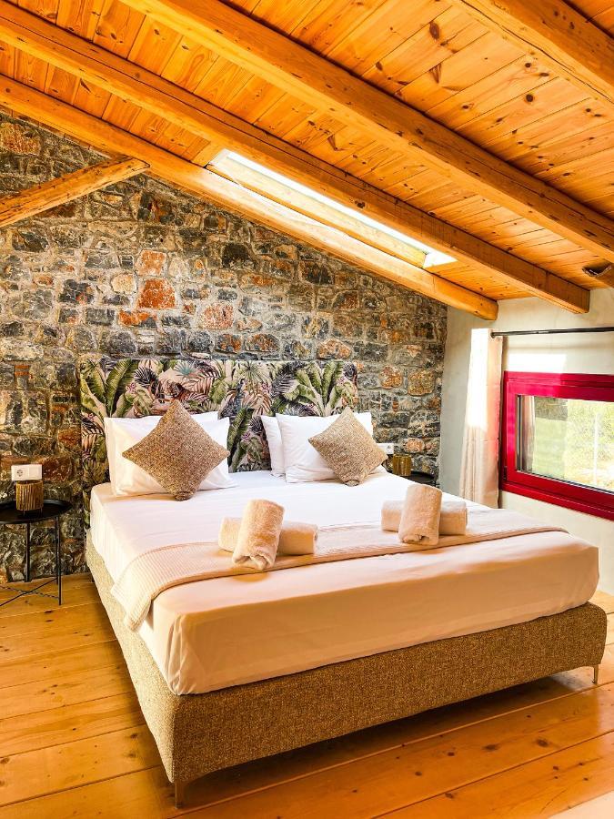 Modern Stone Villas With Swimming Pool アリヴェリ エクステリア 写真